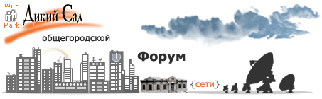 Форум общегородской сети 